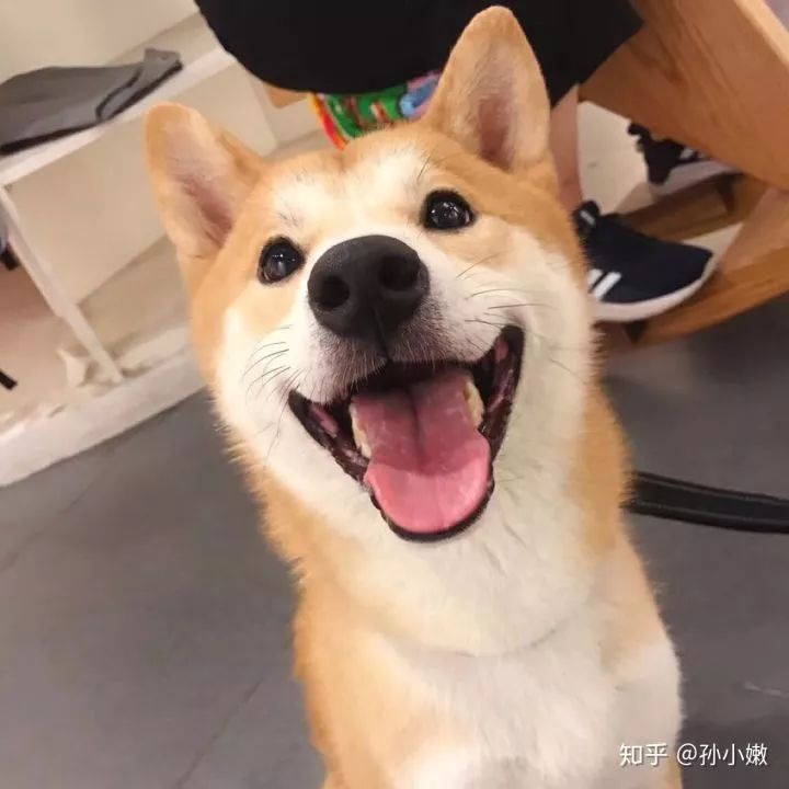 CMOUNT镜头国产亚洲精品久久久久久无码,揭秘电影级影像的神秘力量